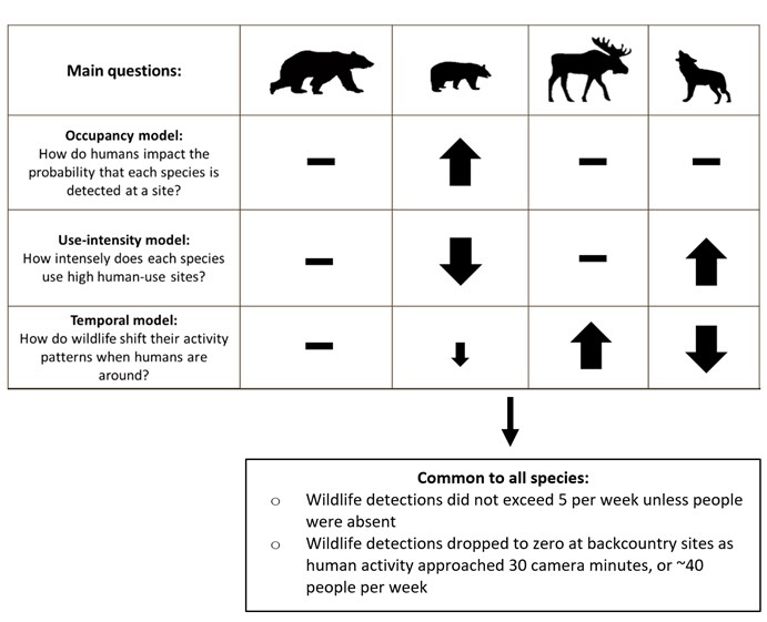 IV. Case Studies: Human-Wildlife Interaction in Popular Tourist Destinations