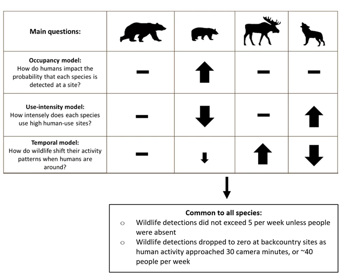 Human impact on wildlife A chart comparing the questions of human impact on wildlife occupancy, the use of human-use sites, and wildlife activity patterns