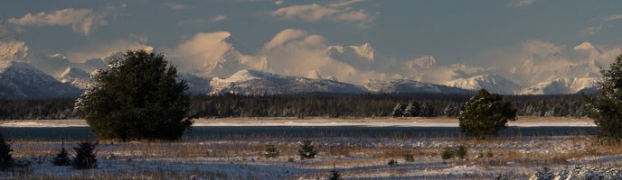 winter scene winter scene