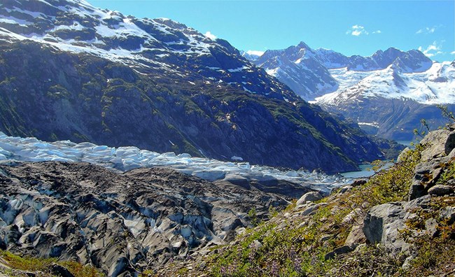 Tall rocky mountains with ground level green vegetation. blue-gray glacier splits the scene