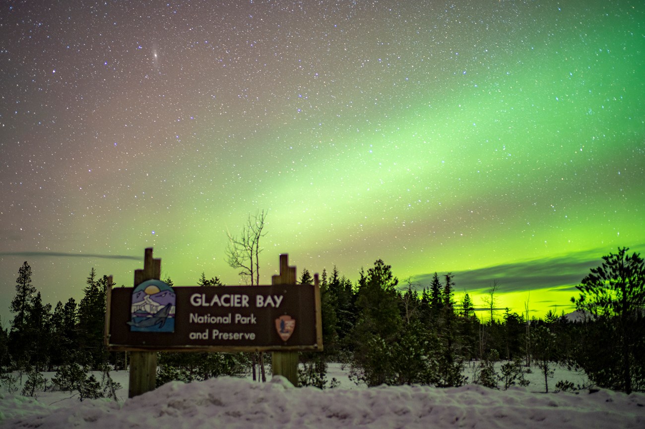 Green glow of aurora on a deep purple sky. The Glacier Bay park entrance sign has snow piled up beneath it and evergreen trees scattered around it and beyond.