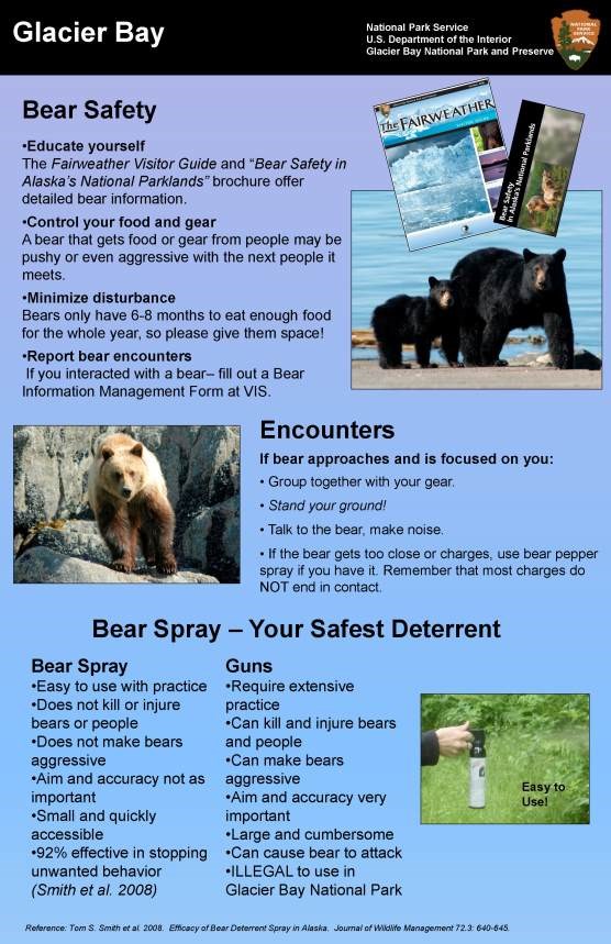 Bears (U.S. National Park Service)