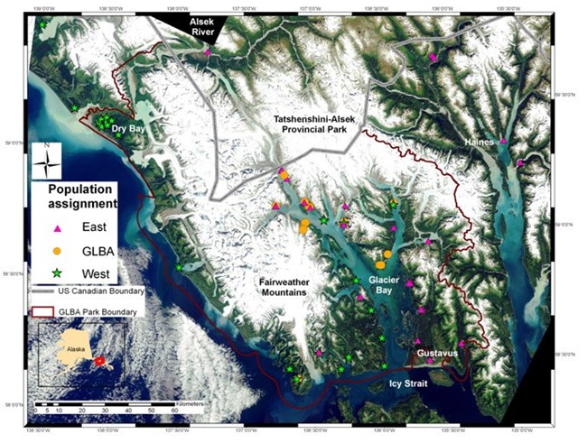 Brown Bear Genetics Study Map