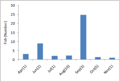 a bar graph of fish abundance for cutthroat trout. September has the highest recorded fish abundance from April to Novermber