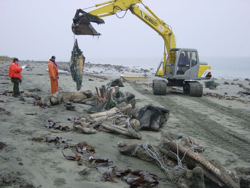 An excavator moves large nets of Whale 68's bones to a boat just off shore.