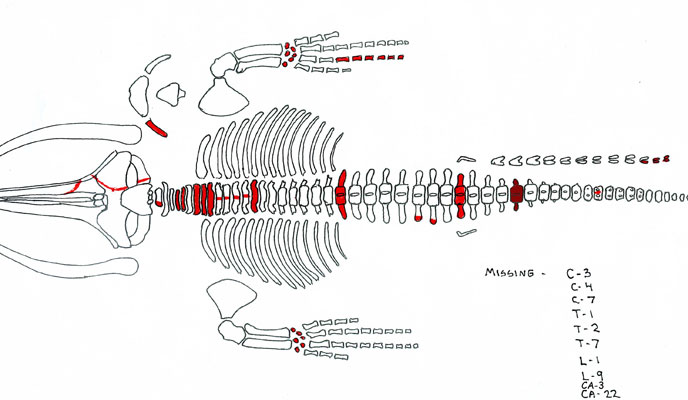 Lee-Assessment-and--Evaluation