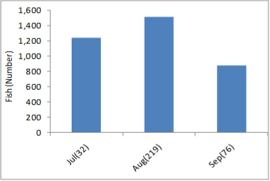 a graph depicting the spawning run times of pink salmon in Glacier Bay. The highest fish abundance was recorded in August.