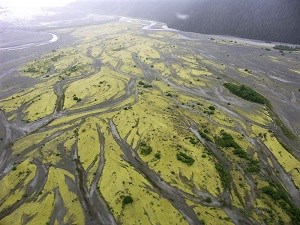 Moss across a glacial landscape, from above