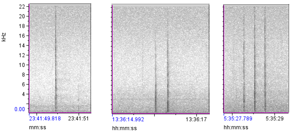 Spectrograms showing frequency (1 - 22 kilohertz) on the vertical axis and time on the horizontal axis.