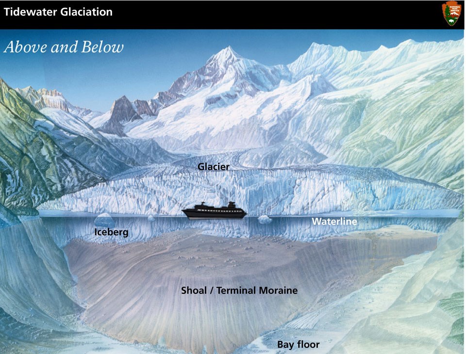 Tidewater Glacier: above and below