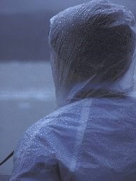 wet visitor wet visitor