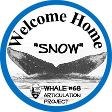Artistic logo showing whale 68's characteristic fluke with the text presented in a circle; Welcome home "snow" (NPS Logo) Whale 68 articulation project.