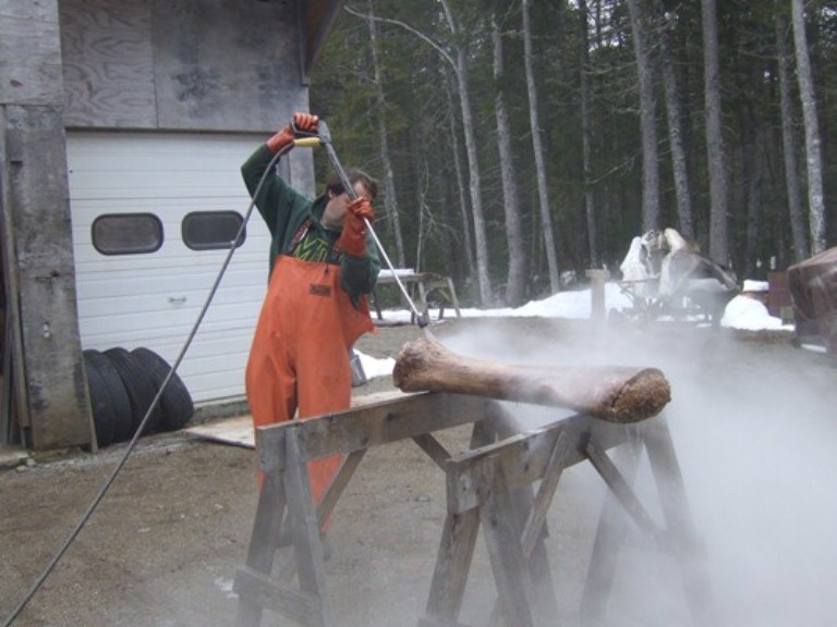 Dan pressure washes a flipper bone