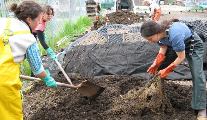 from-compost_web