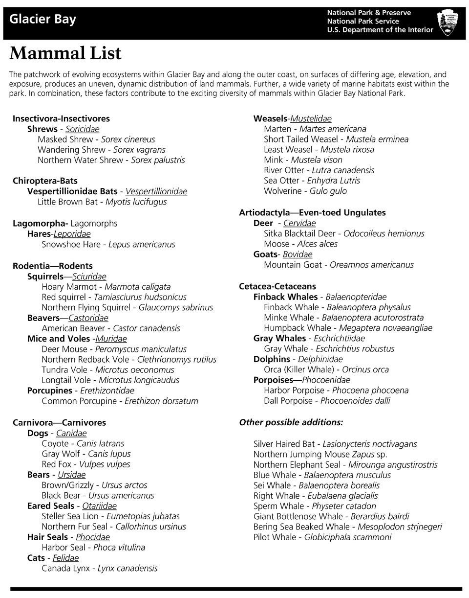 mammal list