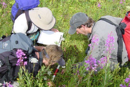 researchers in Glacier Bay National Park researchers in Glacier Bay National Park