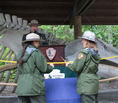 Opening the Exhibit