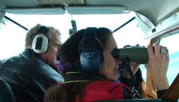 NPS biologist, Jamie Womble, and pilot Jacques Norvell (Tal Air) conducting a harbor seal aerial survey in Glacier Bay.
