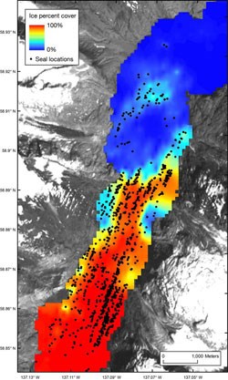 seal and ice map