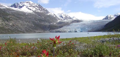 succession glacier