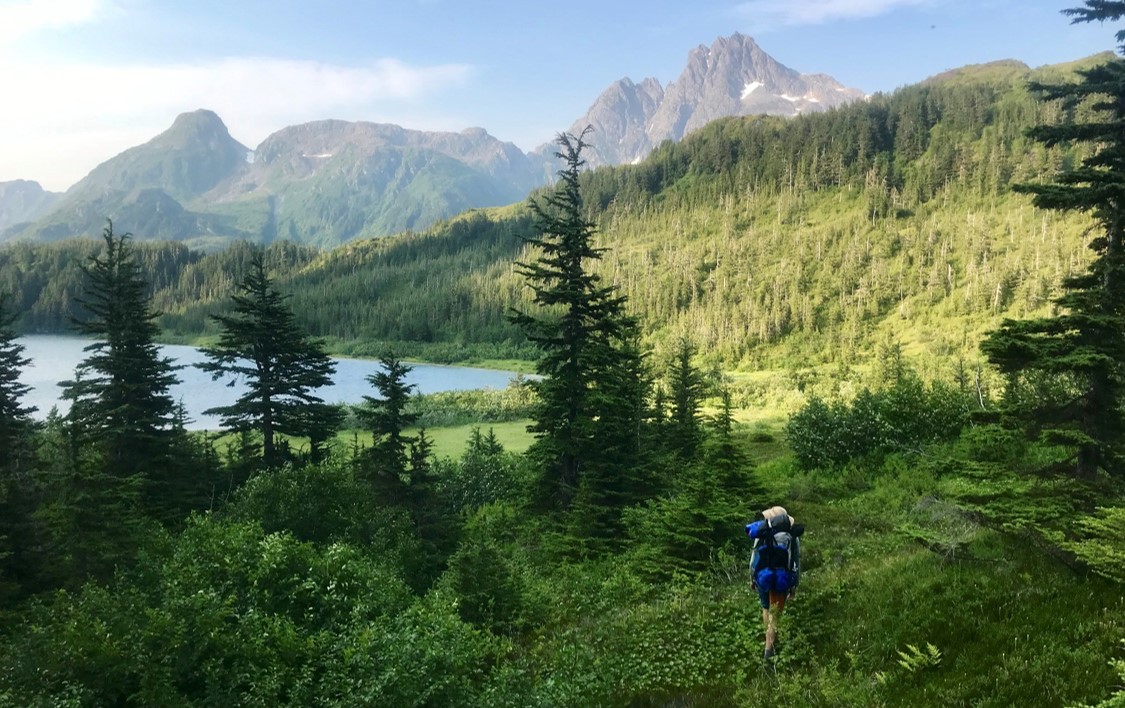 Wilderness of Glacier Bay A hiker travels through a green landscape of lush vegetation with scenic blue waters and mountain peaks in the distance.