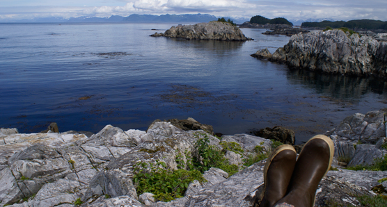 Glacier Bay wilderness