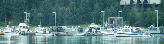 Glacier Bay dock