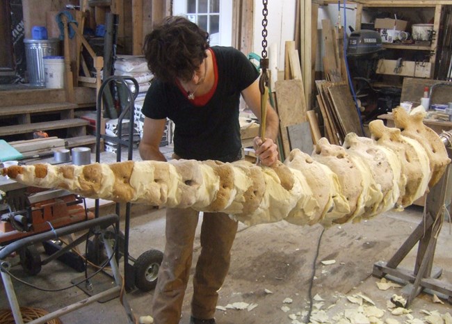 A whales & nails worker shaves urethane foam, simulating cartilage, off a whale skeleton tail.