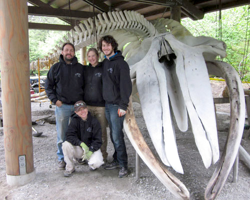 Whale 68 Articulation Blog Archive Phase 2 - Glacier Bay National Park ...