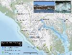 Tidewater and Lakewater Glaciers in Glacier Bay NP