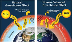 greenhouse gases trap heat within our atmosphere.