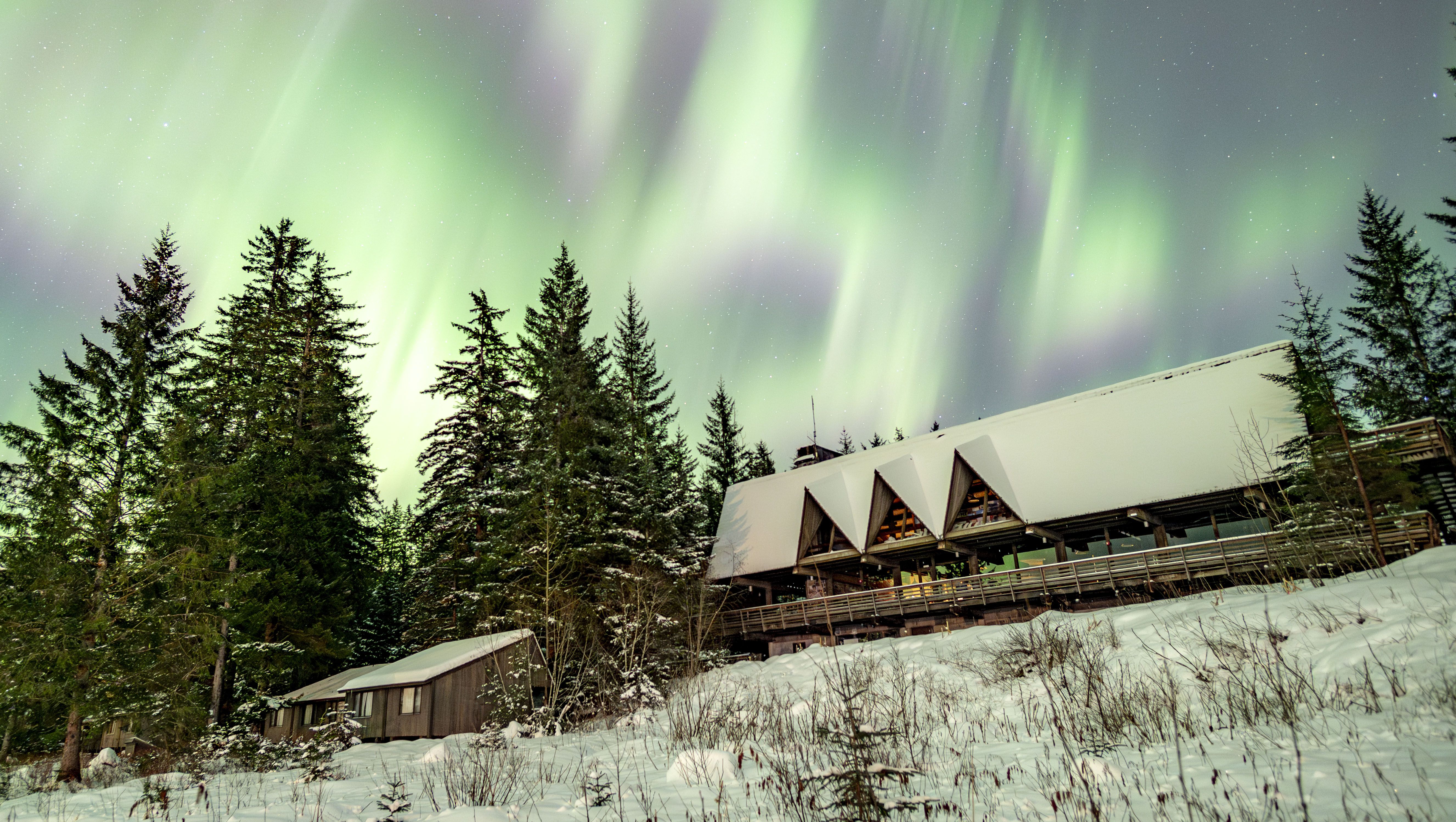 Aurora borealis fills the night sky with curtain-like shapes of green and pink, with a few stars visible behind these "northern lights." The glacier bay lodge sits covered in snow with snowy spruce trees flanking its buildings.