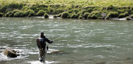 fishing fishing