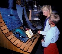 Visitors view exhibits about Glacier Bay