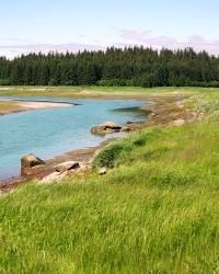 Along the Bartlett River trail