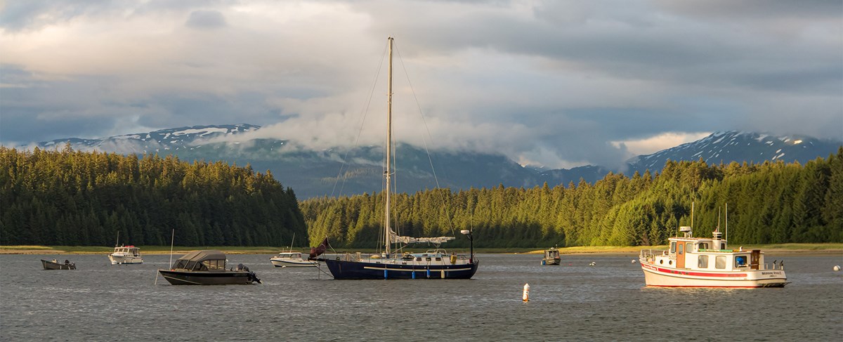 Many boats moored in bartlett cove, coniferous trees line the shoreline