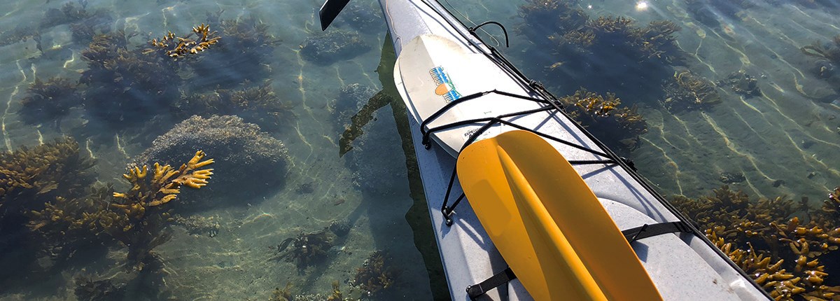 the stern of a white kayak sits in shallow water on a Glacier Bay beach, with seaweed visible beneath the tide