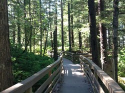 boardwalk to Blackwater Pond