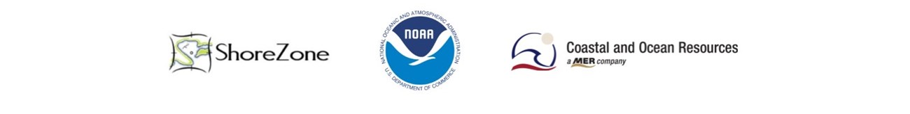 shore zone partner logos