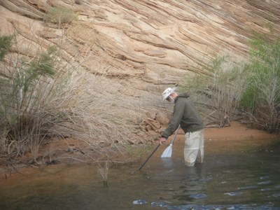 A man is knee deep in water next to a beach. He reaches with a trash grabber into the water.