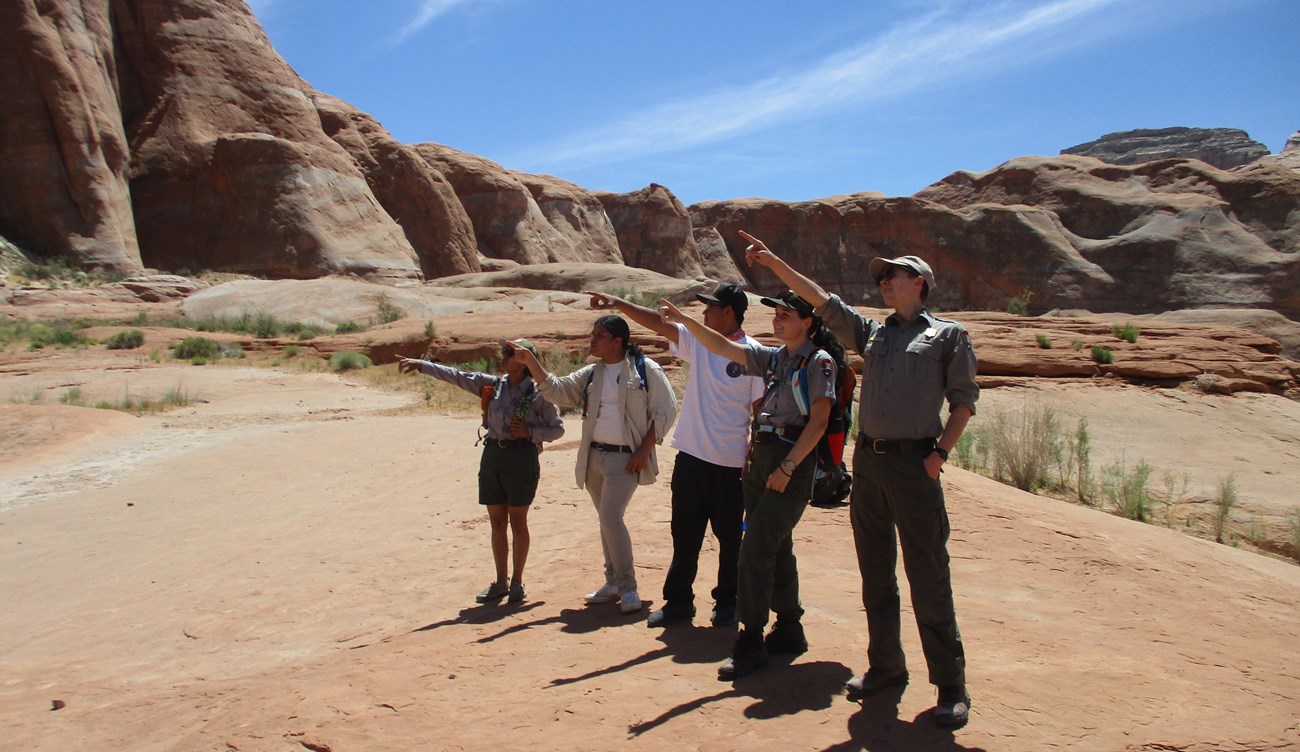 Five people standing on a sandstone hill point up and to the left.