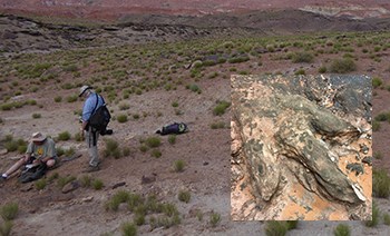 sandy landscape. people looking at the ground. Inset photo if dinosaur track.