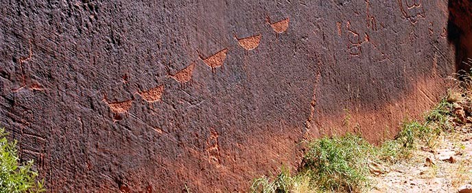 A dark rock wall with a line of animal-like petroglyphs pecked into the dark finish. Scrubby grass grows at the foot of the cliff.
