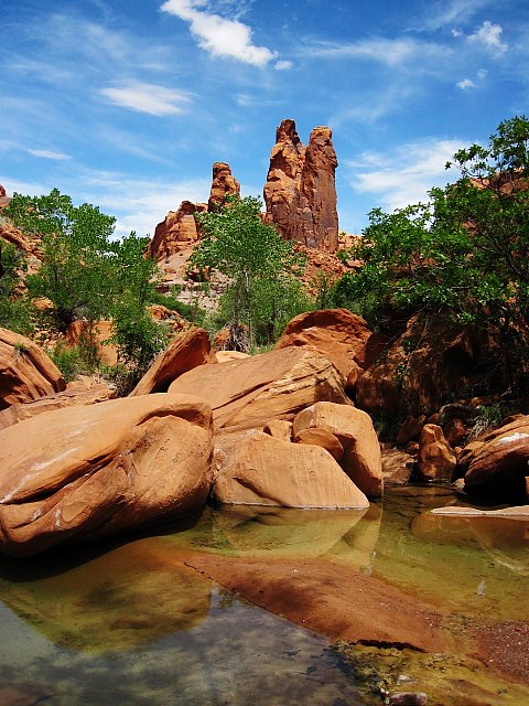 Water, trees, and red rocks come together in this landscape.