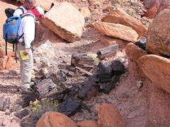 A person wearing abackpack looks at petrified wood nestled among the sandstone.