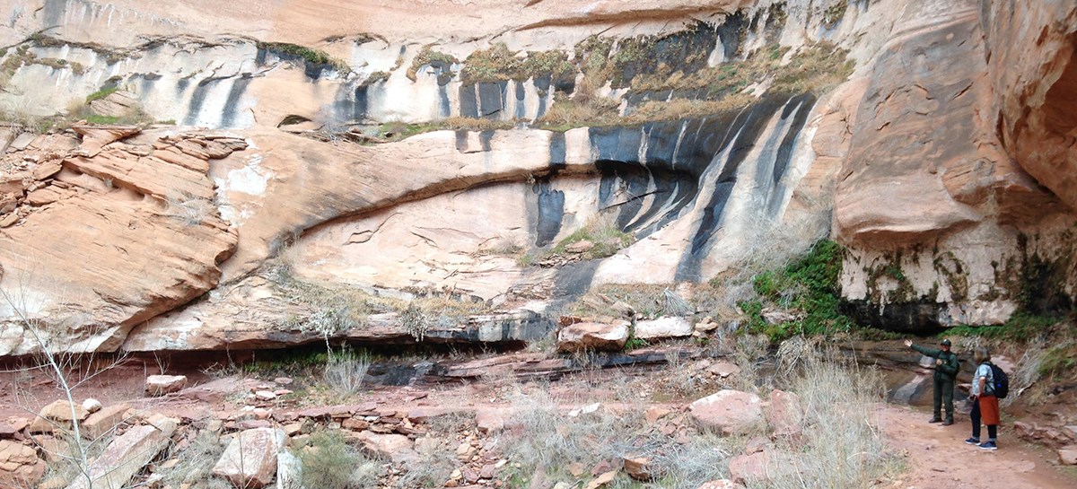 Hanging Gardens Glen Canyon National Recreation Area U S