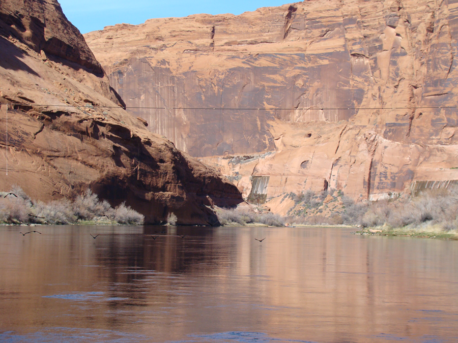 A river in a high walled sandstone canyon. Birds fly over the river.