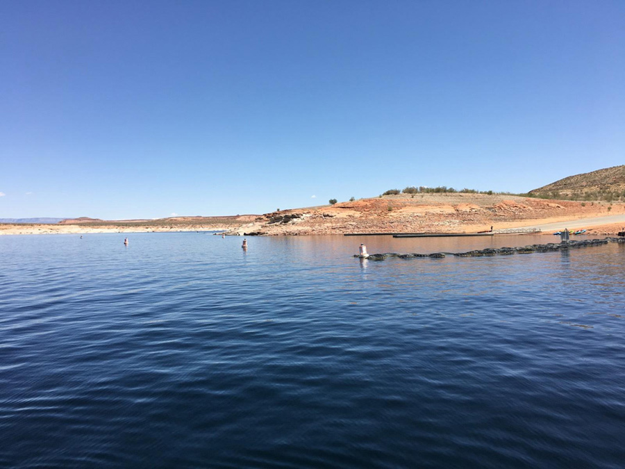 lake with buoys near shore