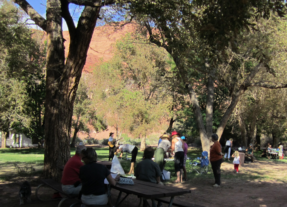 people standing and sitting around picnic tables amongst trees, person with guitar
