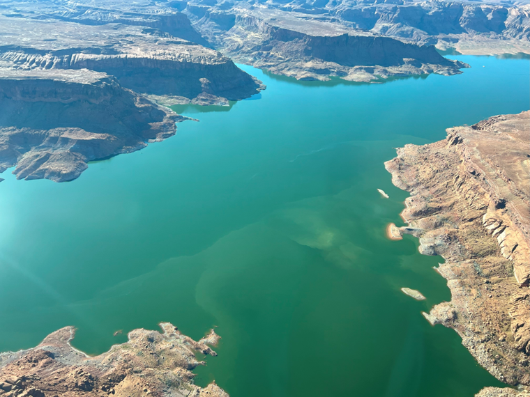 Algae Bloom on Lake Powell Aerial view of a desert lake in a sandstone canyon. The water at the lower half of the image is cloudy.